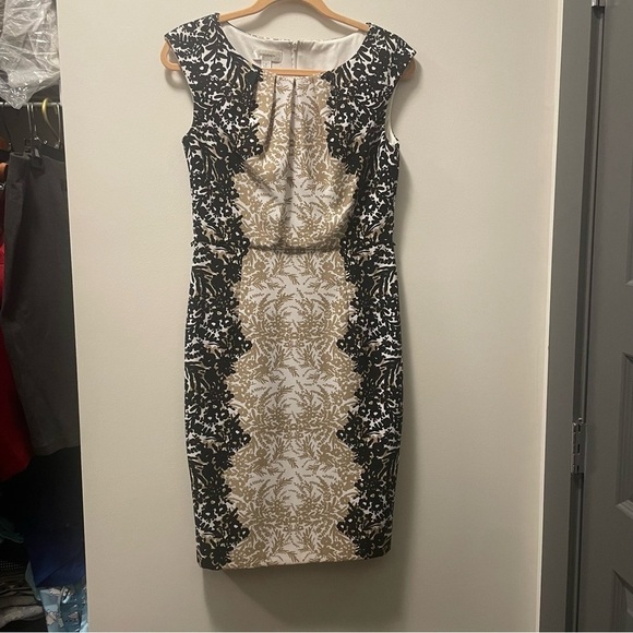 Discover Dress Barn Elegance: Classic Fit & Flare Dress - Picture 7 of 13